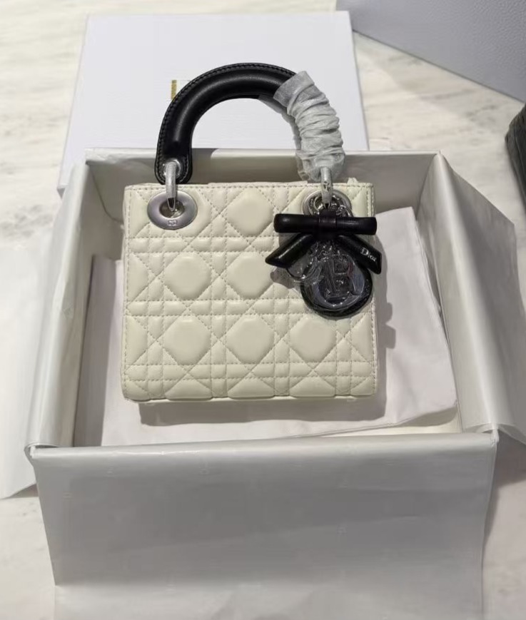 DIOR Saddle Bag
