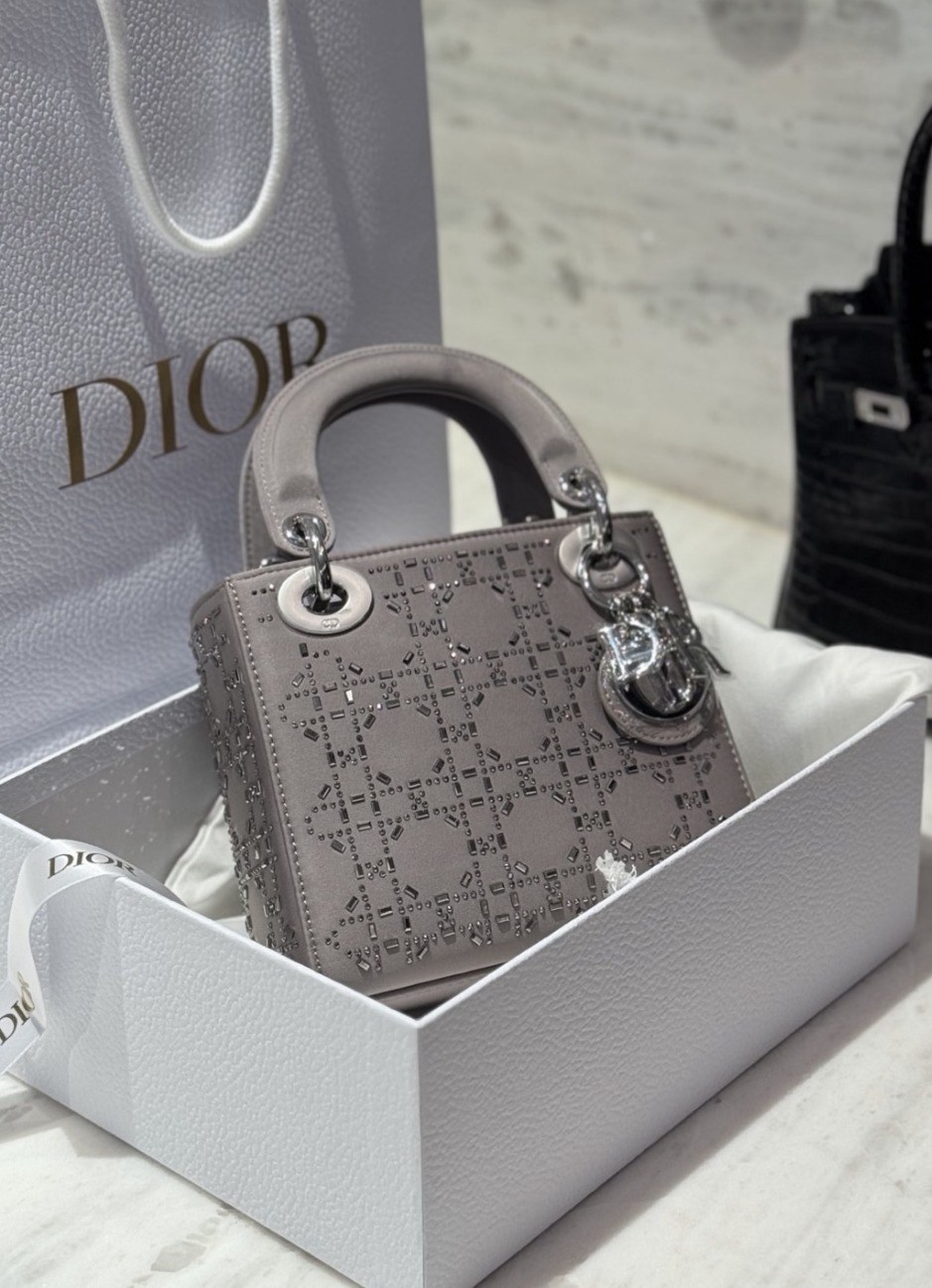 DIOR Book Tote